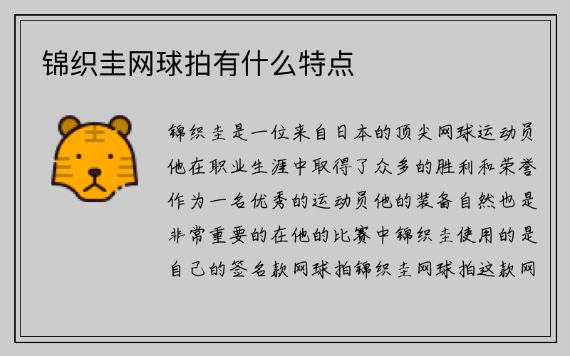 锦织圭网球拍有什么特点