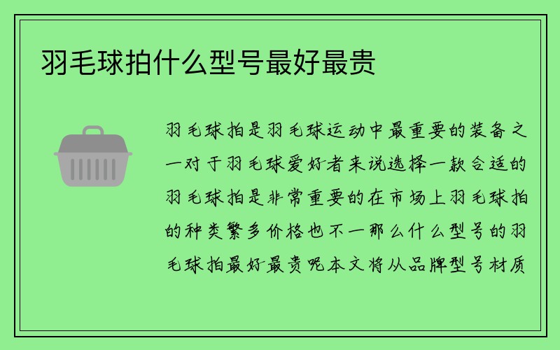 羽毛球拍什么型号最好最贵